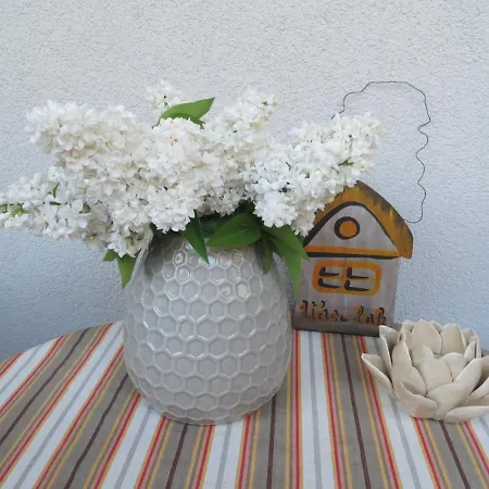 Villa Várvölgy - Teljes Ház, Kizárólagos Használattal Veszprém